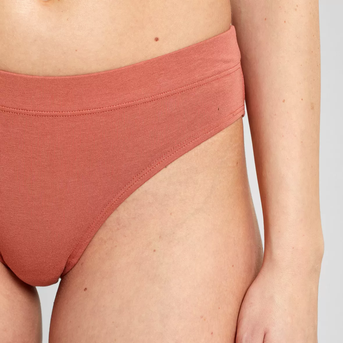 Basics | Underwear | DEDICATED Briefs Ramsele Terracotta Red