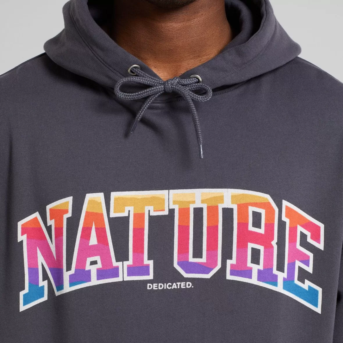 Sweats | DEDICATED Hoodie Falun Nature Sunset Charcoal