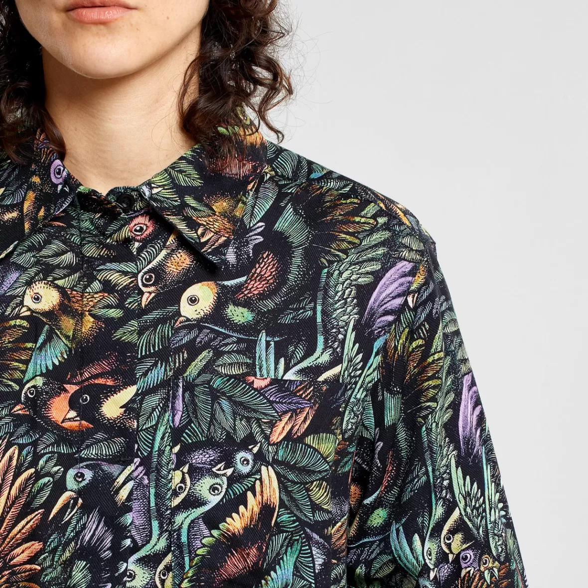 Shirts & Blouses | DEDICATED Shirt Kosta The Birds Black