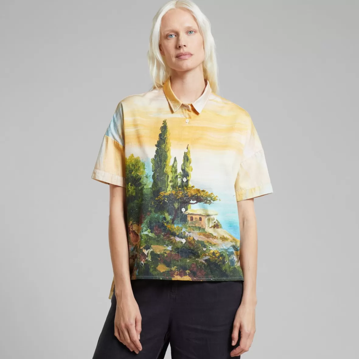 Shirts & Blouses | DEDICATED Shirt Nibe Oceanview Multi Color