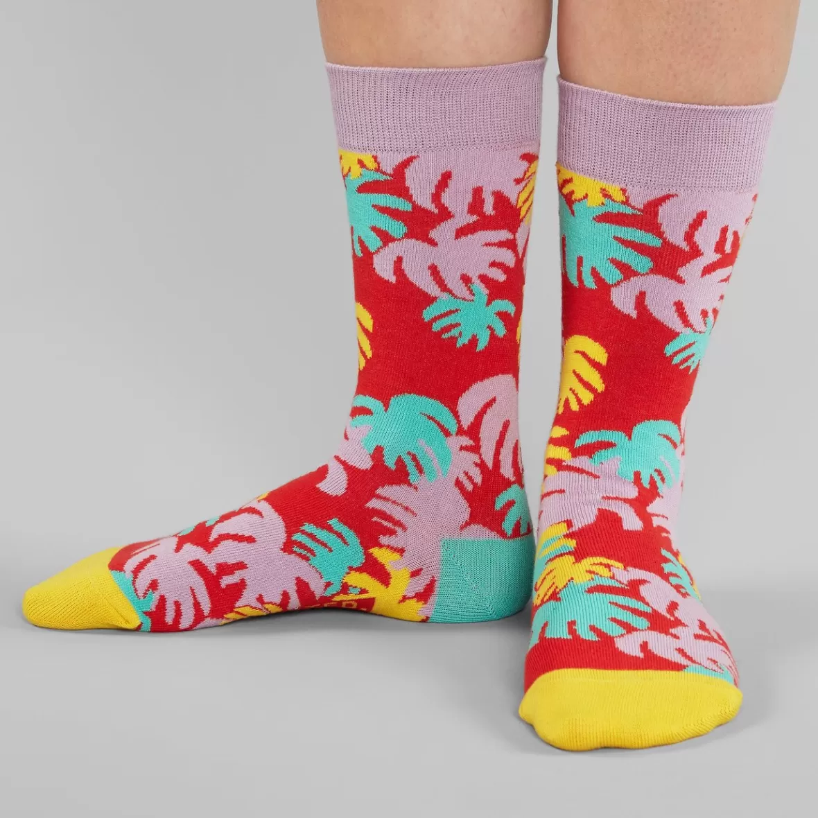 Socks | Socks | DEDICATED Socks Sigtuna Monstera Red