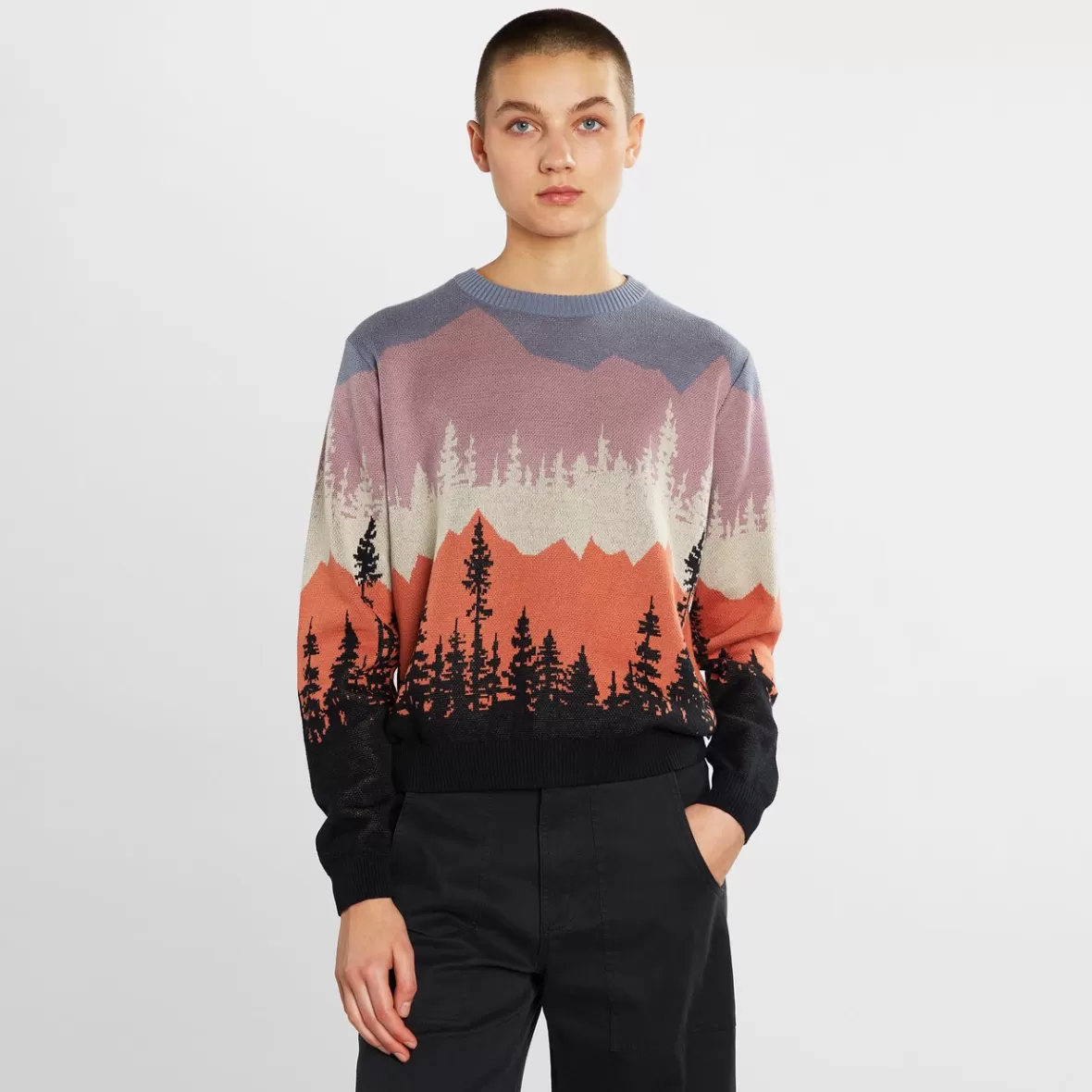 Knitwear | DEDICATED Sweater Arendal Landscape Multi Color