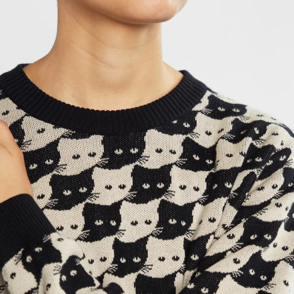 Knitwear | DEDICATED Sweater Arendal Pepita Cats Oat White