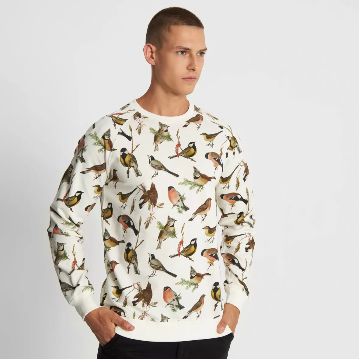 Sweats | DEDICATED Sweatshirt Malmoe Autumn Birds Off White