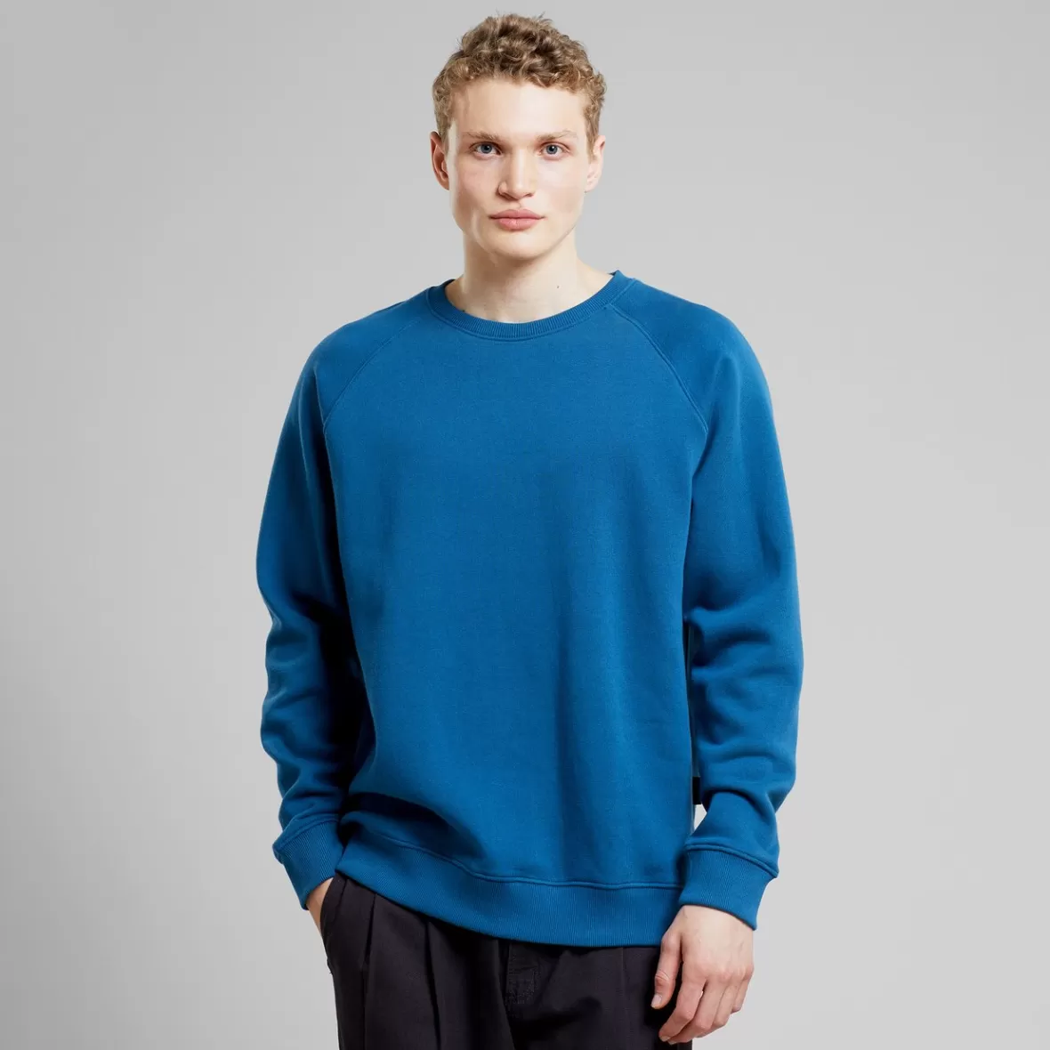 Basics | Sweats | DEDICATED Sweatshirt Malmoe Base Midnight Blue