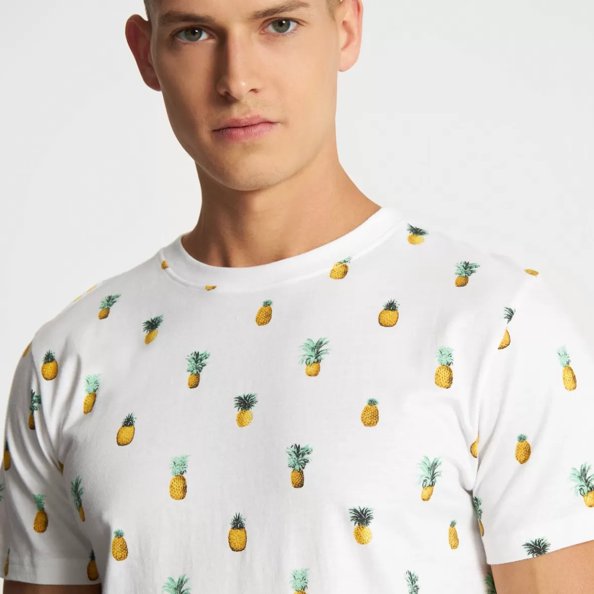 T-Shirts | DEDICATED T-shirt Stockholm Pineapples White