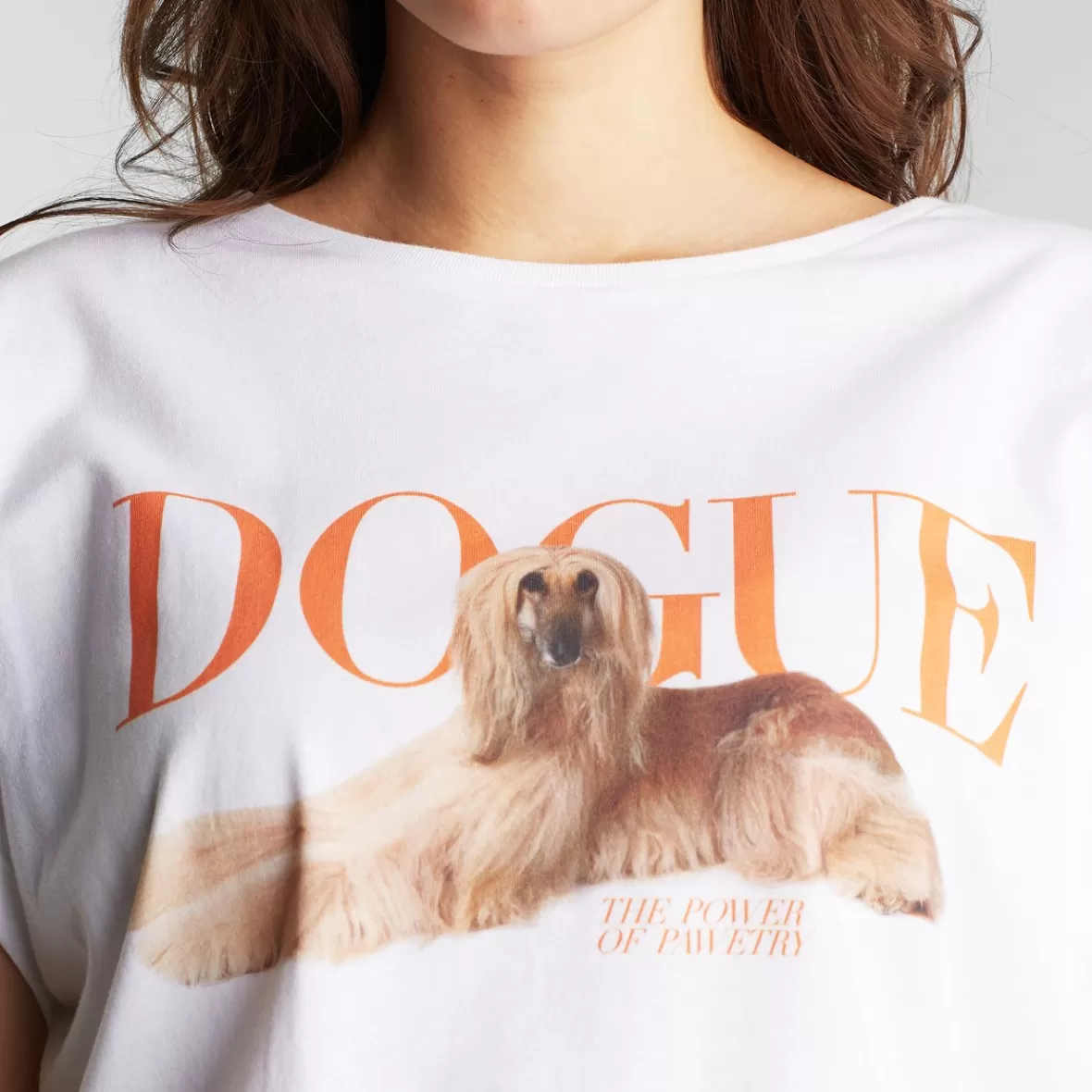 T-Shirts | DEDICATED T-shirt Visby Dogue Pawetry