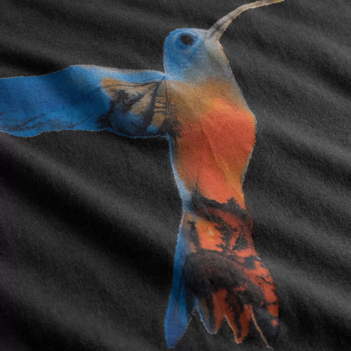 T-Shirts | DEDICATED T-shirt Visby Painted Hummingbird Charcoal